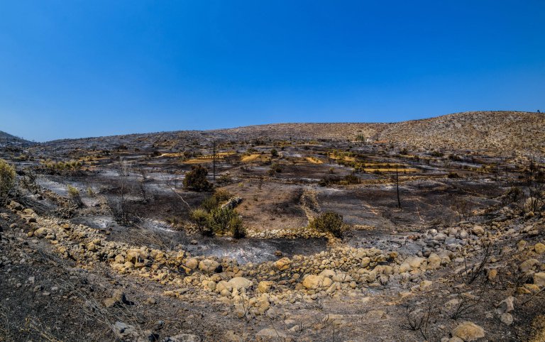 epa05441912 A charred field in Vessa village, after a wildfire that broke on Chios island, Greece, 26 July 2016. The huge wildfire that broke out early 25 July on the island of Chios which has burned 3,500 hectares of forest and farm land, is set under control. Over 90 percent of the mastic trees at the villages of Lithi, Elata and Vessa were destroyed while a large number of mastic trees were burned at the villages of Mesta, Armolia and Pyrgi. EPA/KOSTAS KOYRGIAS